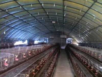 河北沧州新建养鸡大棚 采用中科黑科水源热泵机组