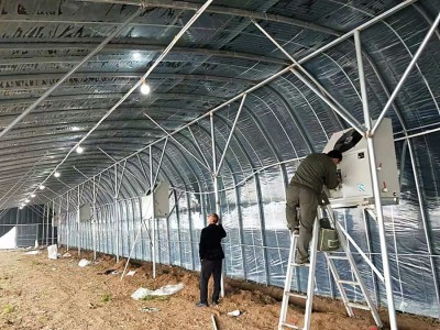 邹城太平镇食用菌蘑菇黑皮鸡枞菌大棚 五座大棚 邹城太平镇食用菌蘑菇黑皮鸡枞菌大棚 五座大棚